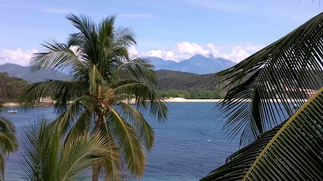 Tropical Paradise in Oaxaca Mexico