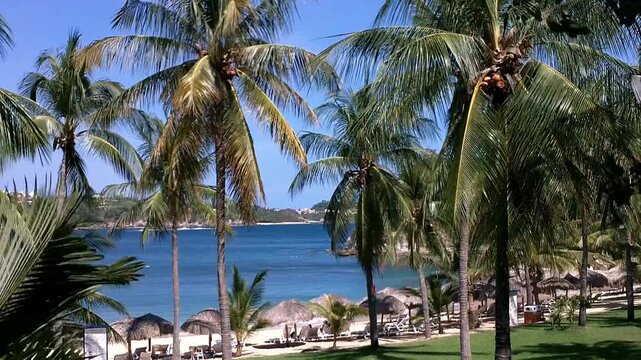 Tropical Paradise in Oaxaca Mexico