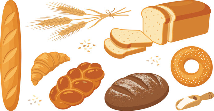 Fresh bakery products flat vector illustration set featuring baguette wheat ears sliced toast loaf croissant challah rye bread bagel and flour scoop