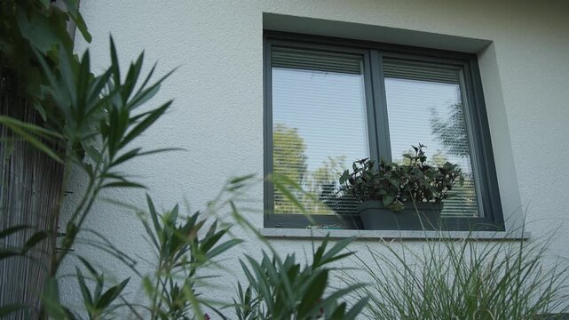 Tall grass blades fill the foreground while potted plants with dark-green leaves sit on a windowsill, backed by closed venetian blinds through a glass window on a stucco building exterior.