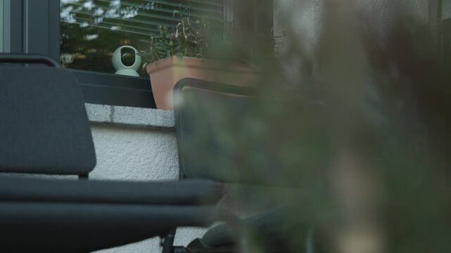 A round white smart security camera sits on an indoor windowsill behind glass, viewed past a terracotta planter of green foliage and pink flowers, home safety video