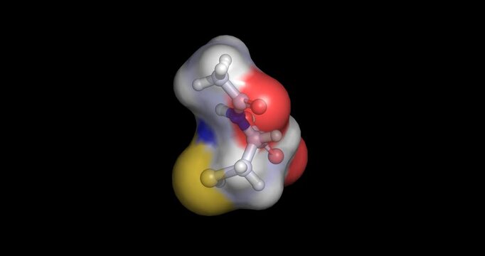 N-Acetyl-L-cysteine, antioxidant precursor and mucolytic agent, 3D molecule spinning, 4K