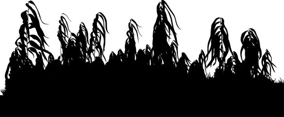 Obraz premium Silhouette of tall kelp forest and seaweed growing on transparent background