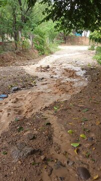 Strong Muddy Water Stream Flowing Down Rural Terrain After Rain