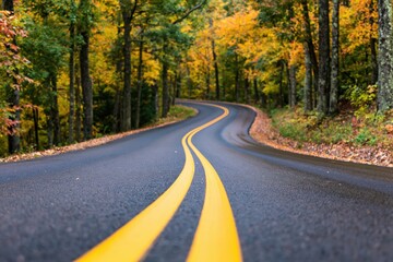 Fototapeta premium Road with winding asphalt through a scenic forest during the colorful autumn fall