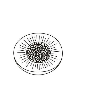 Stylized illustration of a fruit slice