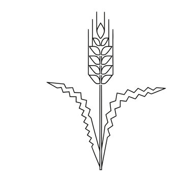 Wheat ear icon