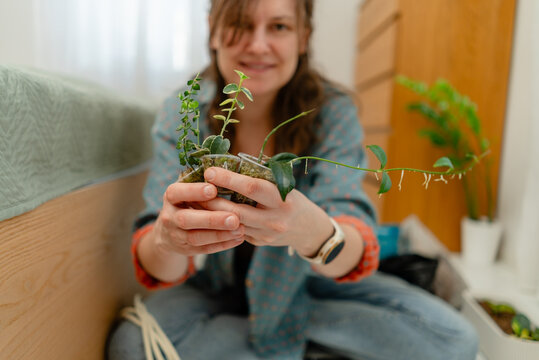 Hand cradling a small green plant with leaves in closeup under soft natural light. Peaceful gardener nurturing and tending greenery with serene delicate care in a warm indoor room.
