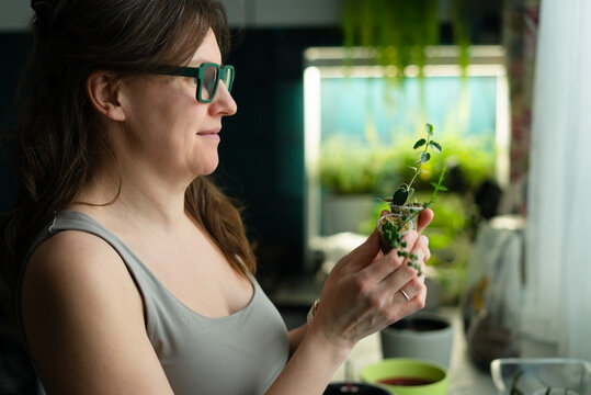 Adult woman holding a potted plant with leaves and flower in a dimly lit room. Serene gardener contemplating and tending indoor plant and greenery with calm contemplative focus near a window.