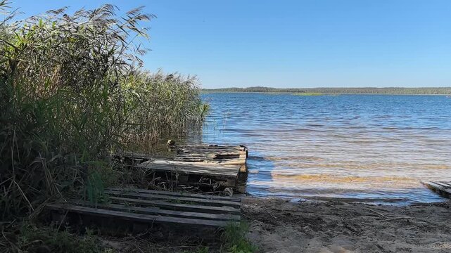 Bright sunshine dances on the surface of the serene lake, where a wooden pier invites moments of peace. Lush reeds sway softly in the refreshing breeze, creating a perfect escape.
