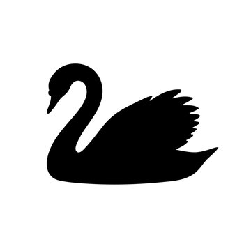 Black Swan Silhouette Vector Illustration Isolated on White Background, Elegant Water Bird Clipart