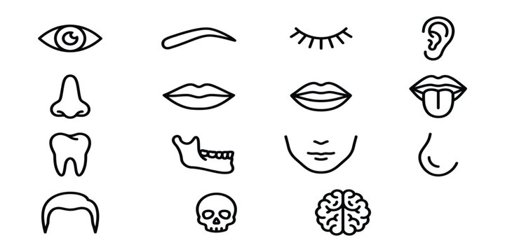 Set of black and white line art icons representing various human facial features and anatomy parts
