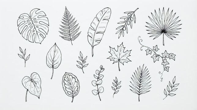 Hand Drawn Tropical Leaves, Palm Fronds, Foliage and Botanical Elements Vector Set