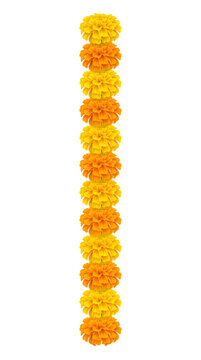 single vertical alternating yellow and orange marigold flower garland isolated on white background for festive sale banners wedding decoration greeting cards and promotions