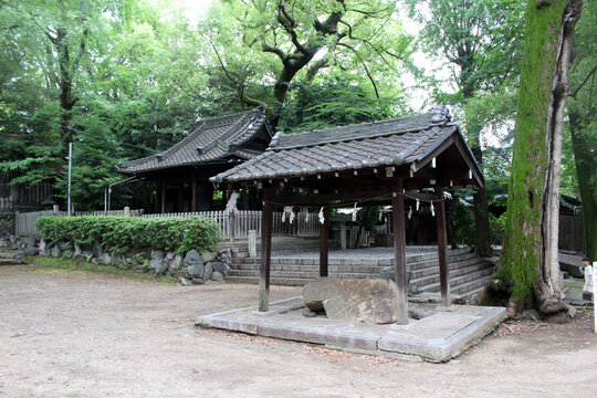 Shinto shrine nestled in a lush green forest park in Osu Dori Nagoya, Aichi, Japan July 2026.