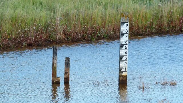 Water level gauge stands tall in calm marsh. Reeds sway gently behind the gauge. Two weathered posts stand nearby, half submerged. Water reflects the sky's soft blue hue