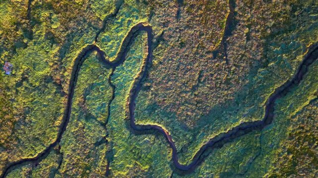 Aerial view shows winding waterways through textured terrain. Green and brown patches form intricate patterns in the landscape. Friskney Flats, Lincolnshire UK, Skegness
