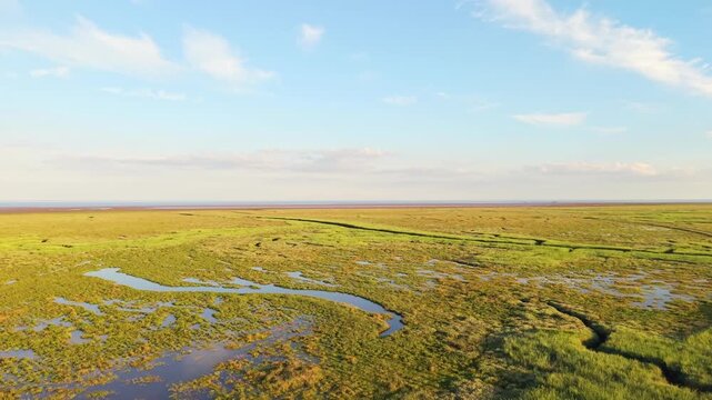 Endless grassland stretches under a bright blue sky. Gentle water channels wind through vibrant green meadows. Scattered clouds add softness to the horizon. Friskney Flats, Lincolnshire UK, Skegness