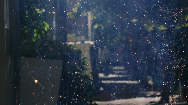 Sunlight filters through outdoor air, highlighting floating dust particles and creating a natural sparkling effect in a wide outdoor setting.
