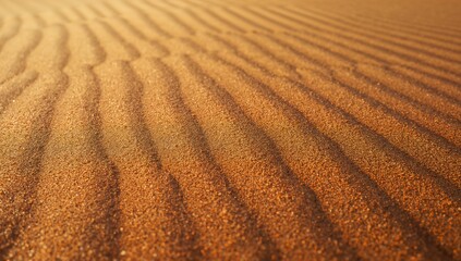 Fototapeta premium Golden desert sand dunes ripple texture background