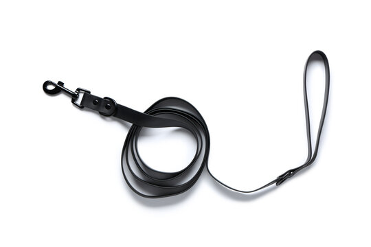 Pet leash on white background