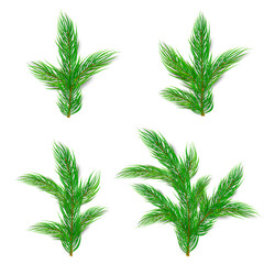 Fototapeta premium Pine Christmas Garland Needle Branch Collection with Evergreen Fir Foliage Sprigs for Holiday Decoration Isolated on White Background