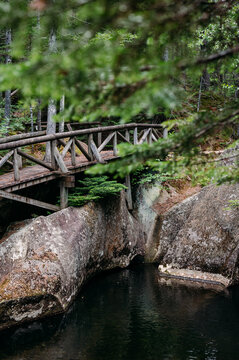 Rustic wooden footbridge crossing a serene forest stream