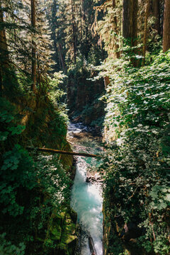 Turquoise river runs through a lush forest canyon