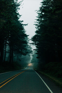 Car with headlights on a foggy forest road