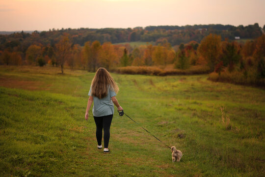 Teen walking a fluffy Shih Tzu puppy in a field at sunset