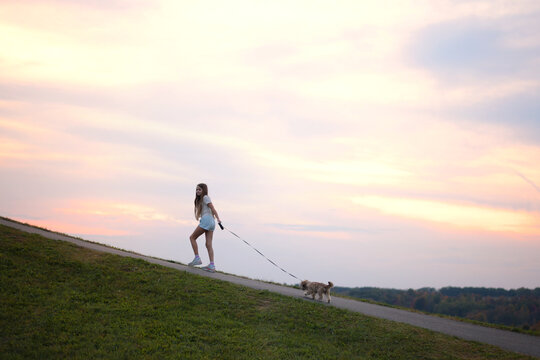 Young girl walking her dog on a hill at sunset