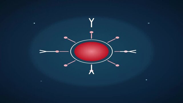 Antigen Antibody Binding Immune Response Animation