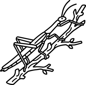 A black and white line art illustration of a stick insect resting on a twig.