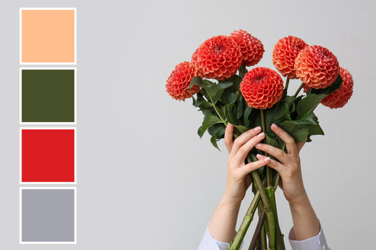 Woman's hands holding a bouquet of fresh orange dahlia flowers with a color palette on a light background, a complementary color palette peach, dark