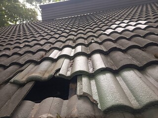 The damaged terracotta roof tiles on the exterior of the building are awaiting repair. © Thuntaree