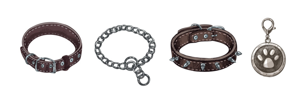 Hand drawn dog collar, chain, spiked collar and paw tag pet accessories vintage sketch collection