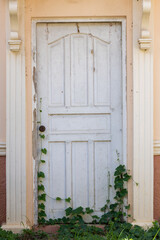 Obraz premium Weathered White Wooden Door Overgrown with Green Ivy