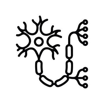 Neuron Icon: Simple Outline of a Nerve Cell with Axon and Synapses