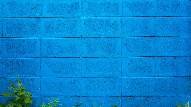 Vivid Blue Painted Cinder Block Wall with Green Plant Foreground