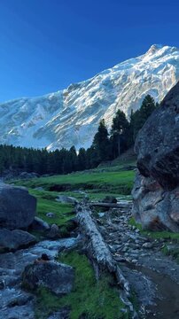 Snow-capped Nanga Parbat mountain peak towering over green Fairy Meadows alpine valley with pine forest and flowing stream under blue sky in Gilgit Baltistan Pakistan