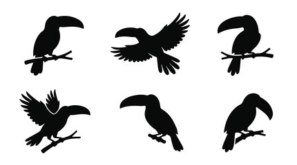 Fototapeta premium A set of six toucan bird in various poses silhouette vector icon illustrations on a white background 