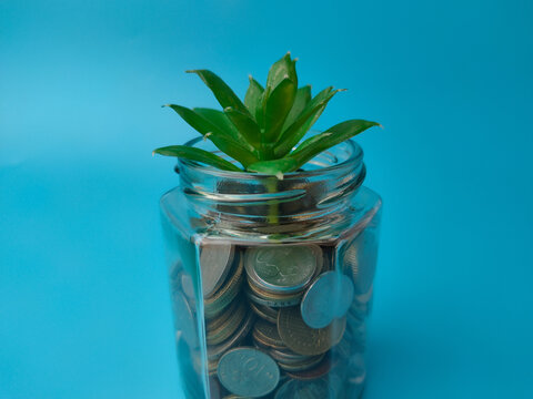 A glass jar filled with coins and a green plant sprouting from the top against blue background