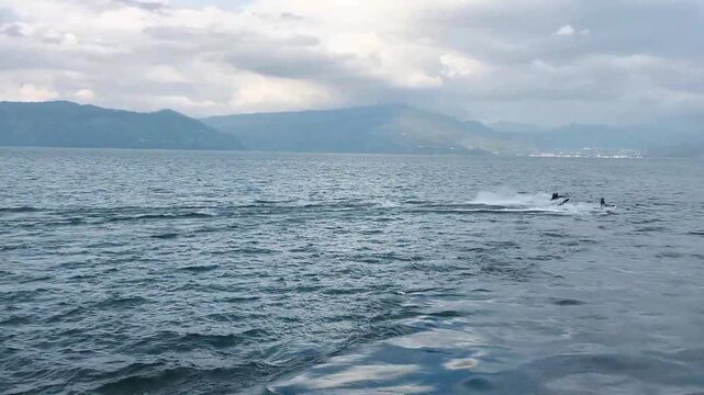 Jet ski speeding across the open water with mountain backdrop