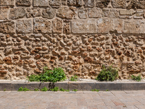 Old stone wall with green wild plants