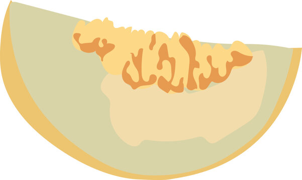 Flat color illustration of a slice of melon