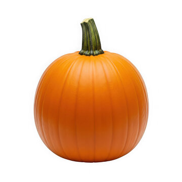 One fresh orange pumpkin with green stem for harvest season