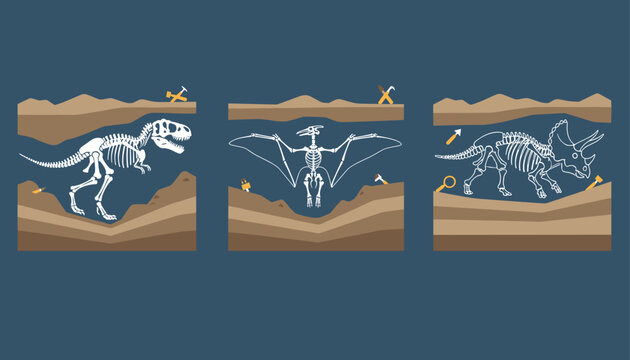 Dinosaur skeleton fossils buried underground with paleontology tools in three panels