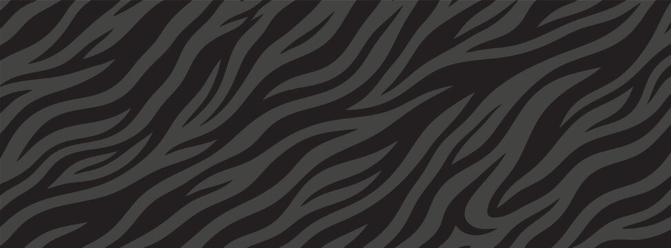 abstract zebra pattern background. Dark grey wavy stripes on a black background. Modern animal print texture for wallpaper, fabric, textile, or fashion design.