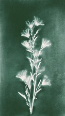 Obraz premium Ethereal floral silhouette in green tones, perfect for mobile wallpaper.