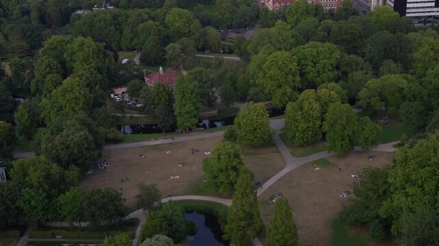 Wide aerial view of Rotterdam city skyline showing the lush green foliage of Het Park in the foreground, Zalmhaven tower, and Erasmus Bridge across the river.